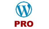 Wordpress Professional Paket